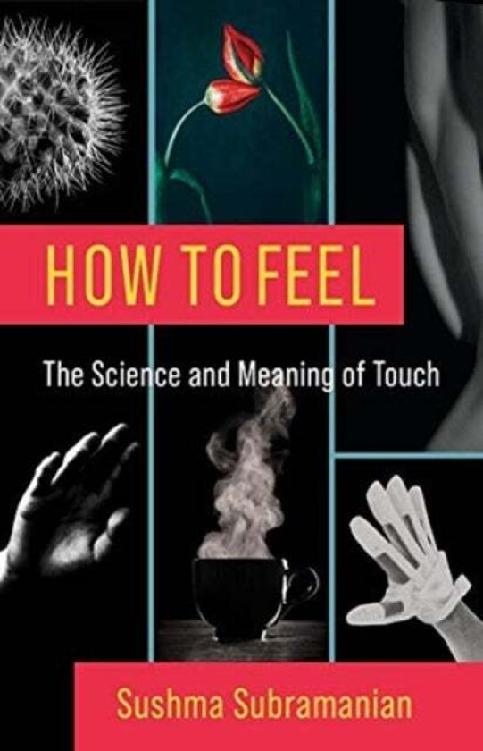 How to Feel av Sushma Subramanian