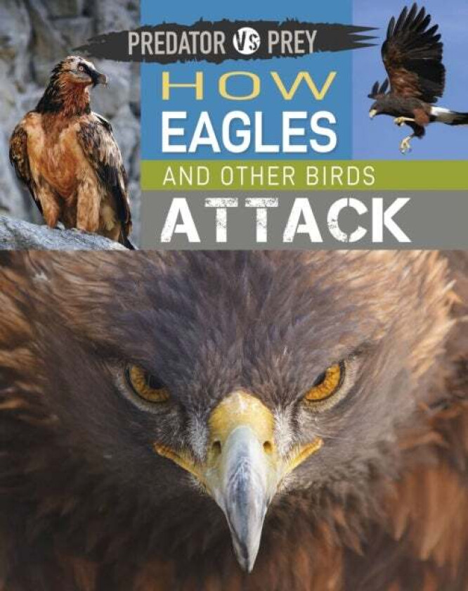 Predator vs Prey: How Eagles and other Birds Attack av Tim Harris