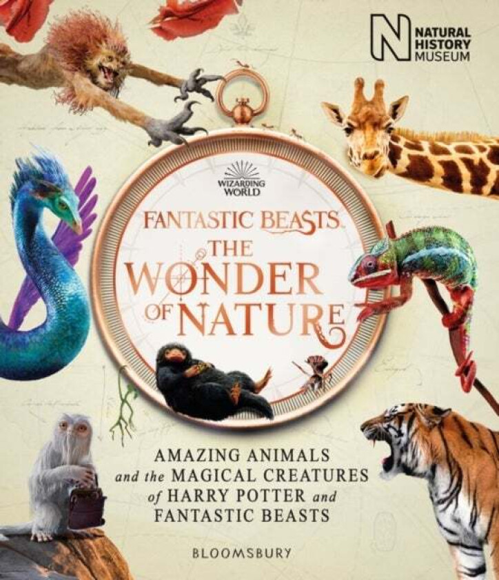 Fantastic Beasts: The Wonder of Nature av Natural History Museum