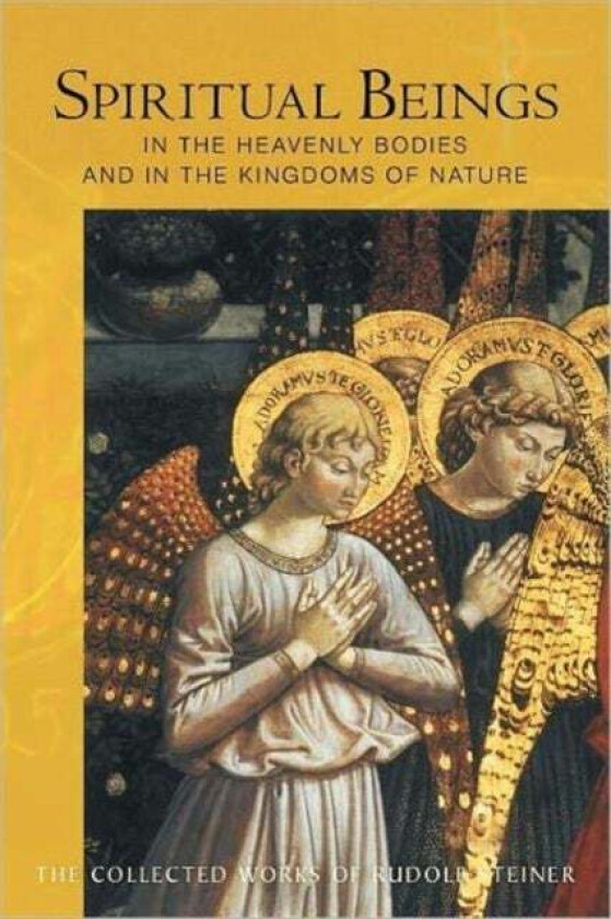 Spiritual Beings in the Heavenly Bodies and in the Kingdoms of Nature av Rudolf Steiner