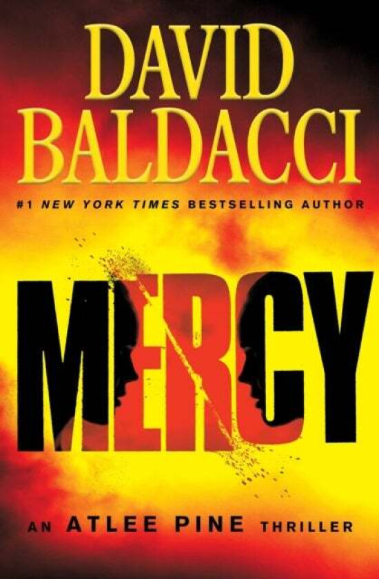 Mercy av David Baldacci
