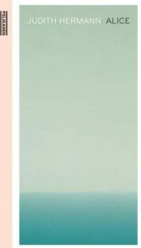 Alice av Judith Hermann