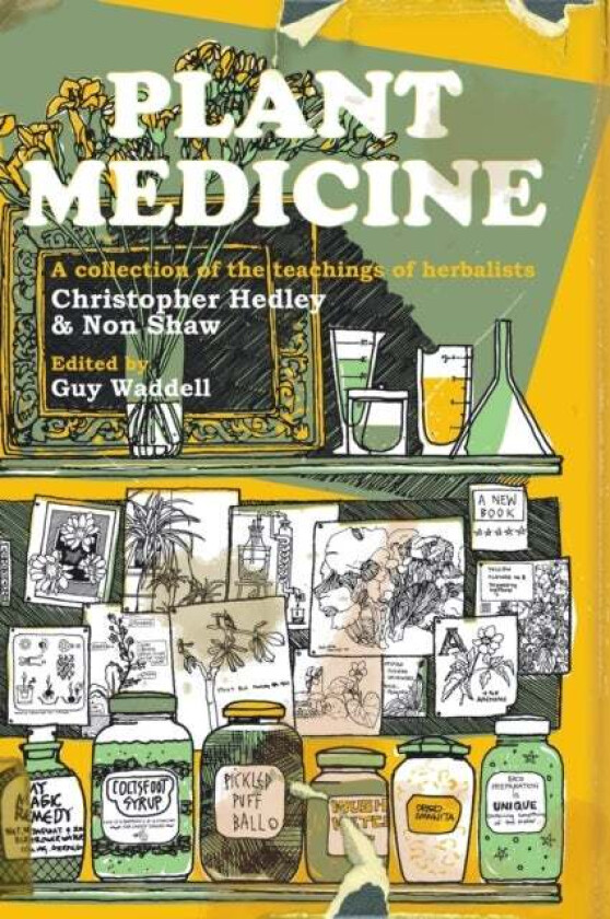 Plant Medicine av Christopher (The Estate of Christopher Hedley) Hedley, Non Shaw