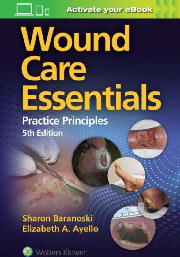 Wound Care Essentials av Sharon Baranoski, Elizabeth A. Ayello