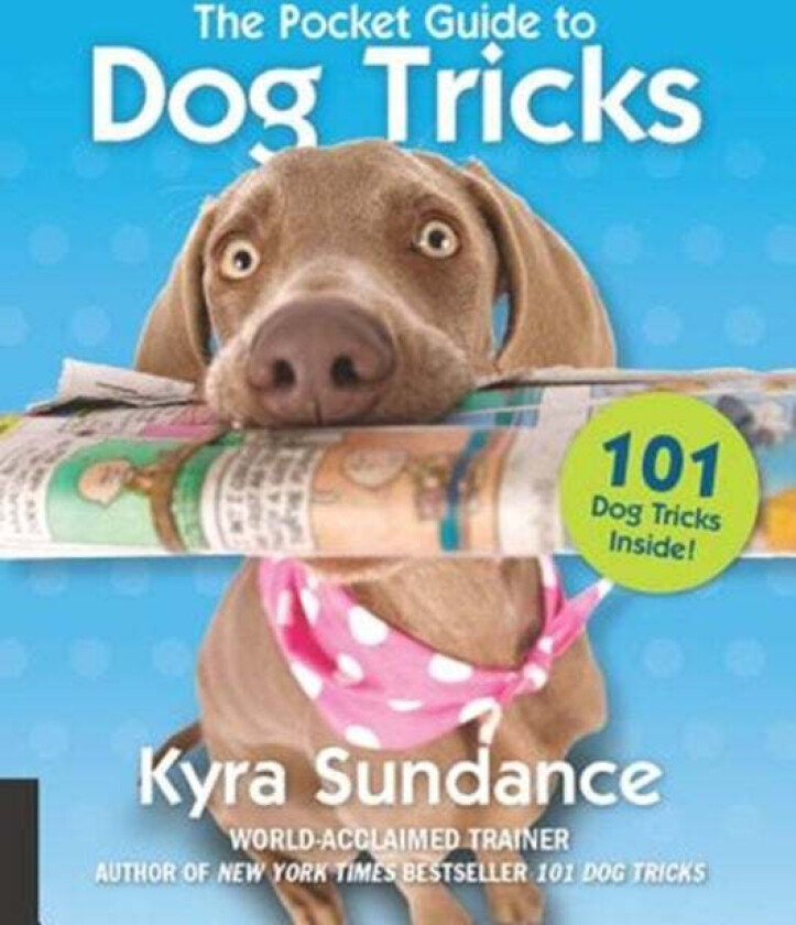 The Pocket Guide to Dog Tricks av Kyra Sundance