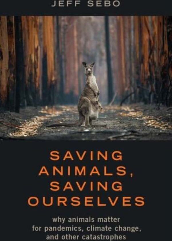 Saving Animals, Saving Ourselves av Jeff (Clinical Associate Professor of Environmental Studies Affiliated Professor of Bioethics Medical Ethics and P