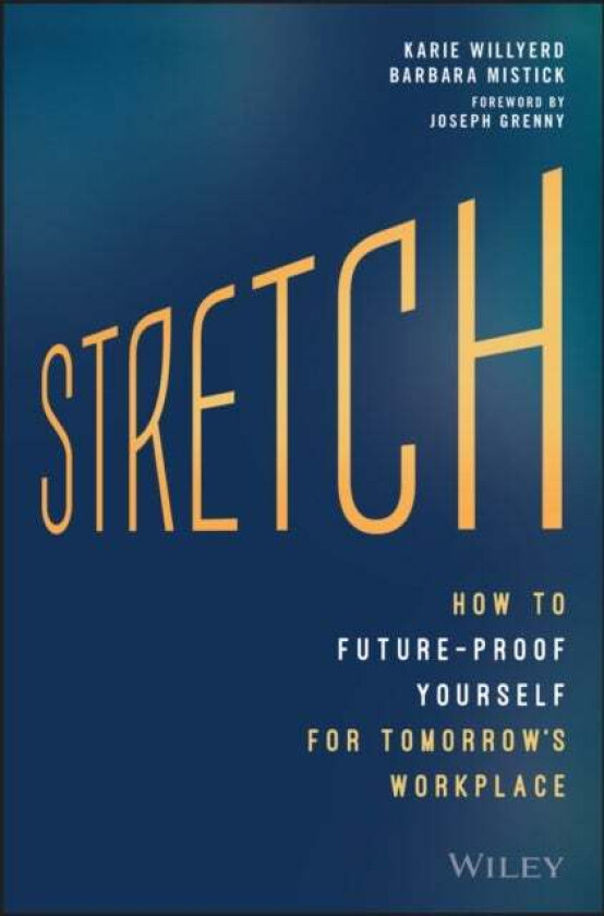 Stretch av Karie Willyerd, Barbara Mistick