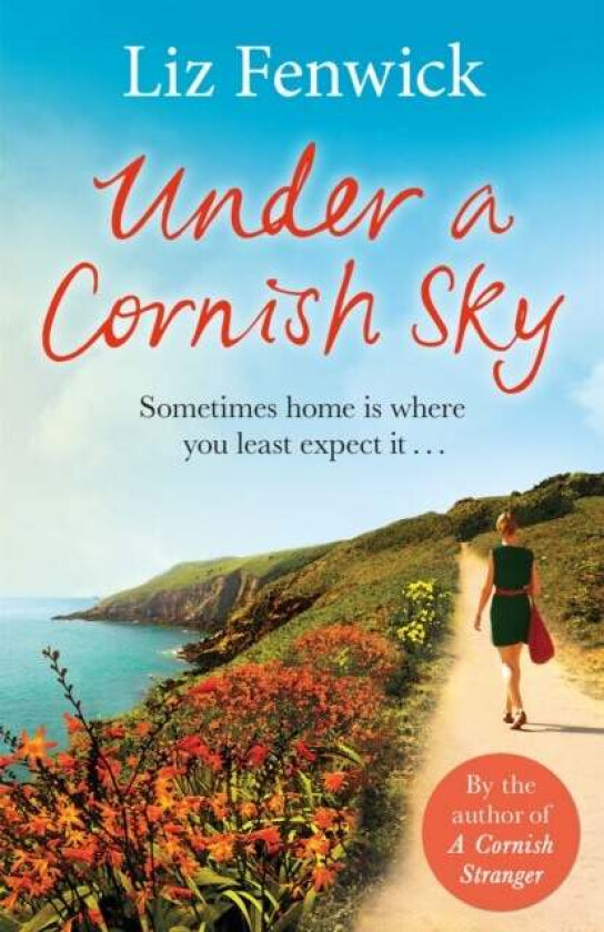 Under a Cornish Sky av Liz Fenwick