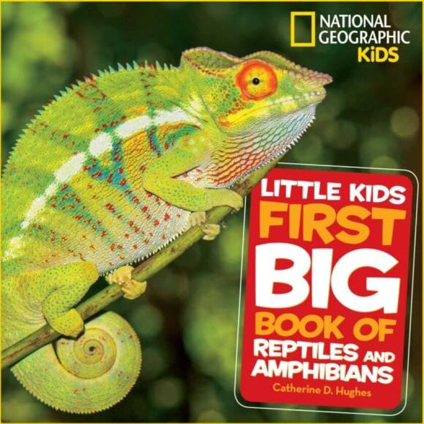 Little Kids First Big Book of Reptiles and Amphibians av National Geographic Kids