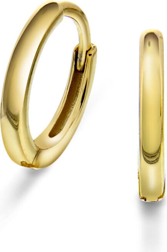 , Øreringer i forgylt sølv