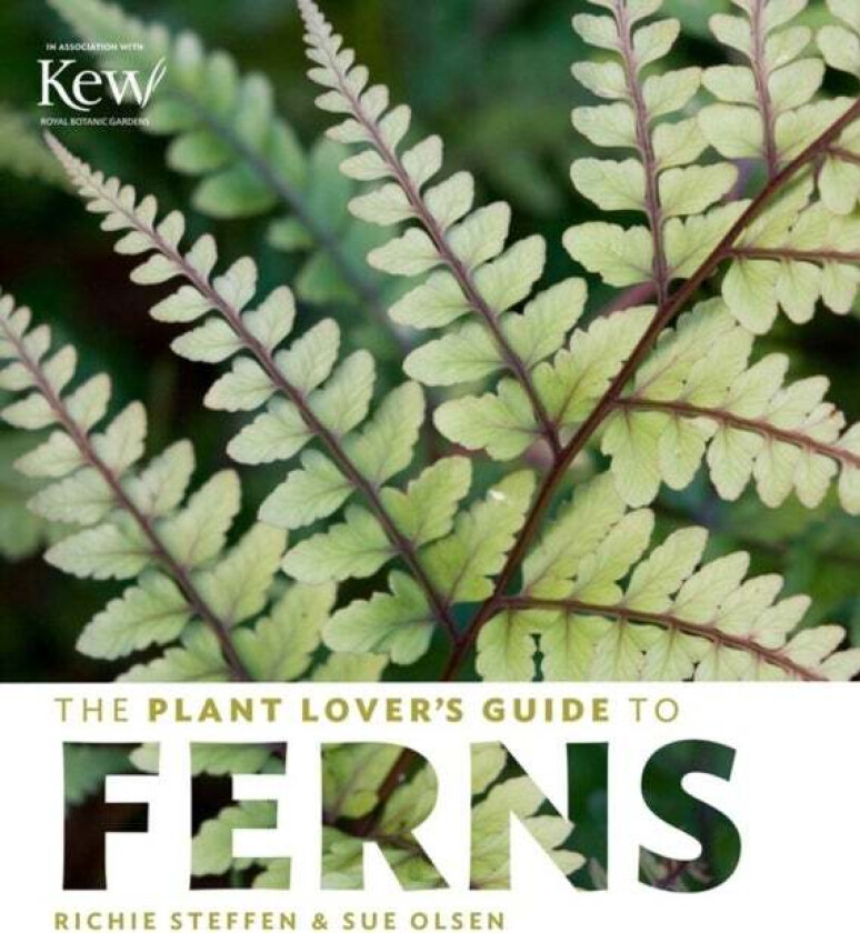 The Plant Lover's Guide to Ferns av Richie Steffen, Sue Olsen