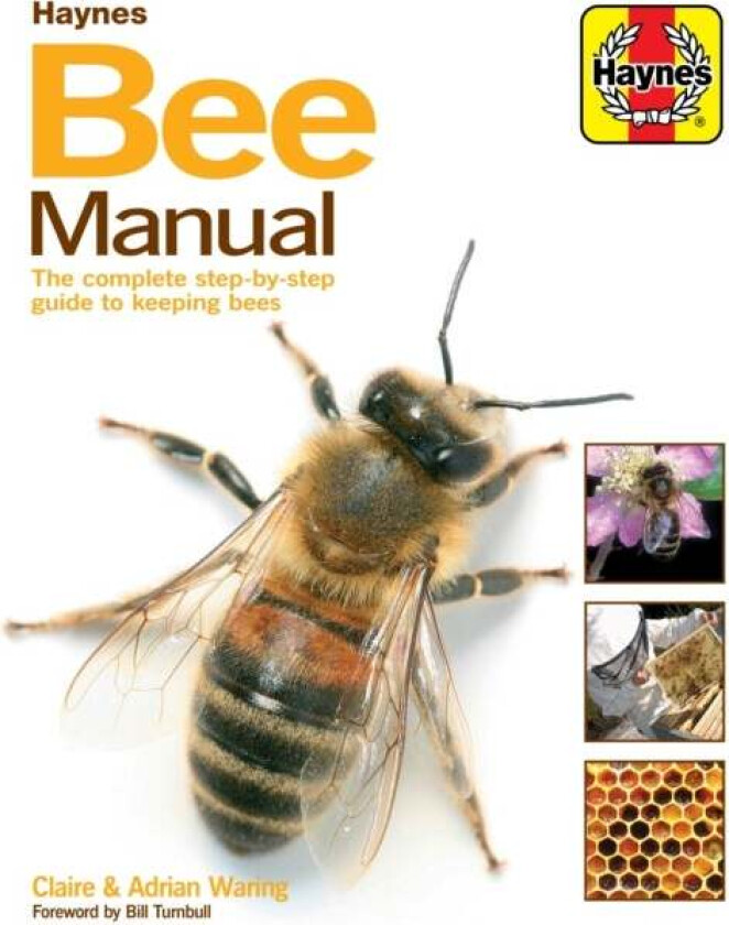 Bee Manual av Claire Waring