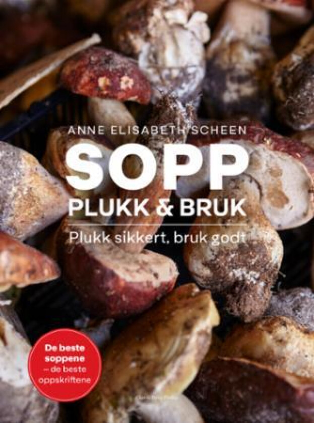 Sopp av Anne Elisabeth Scheen