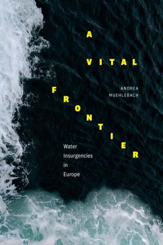 A Vital Frontier av Andrea Muehlebach