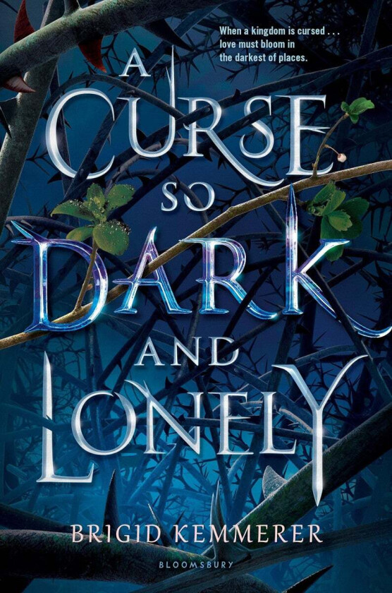 A Curse So Dark and Lonely av Brigid Kemmerer
