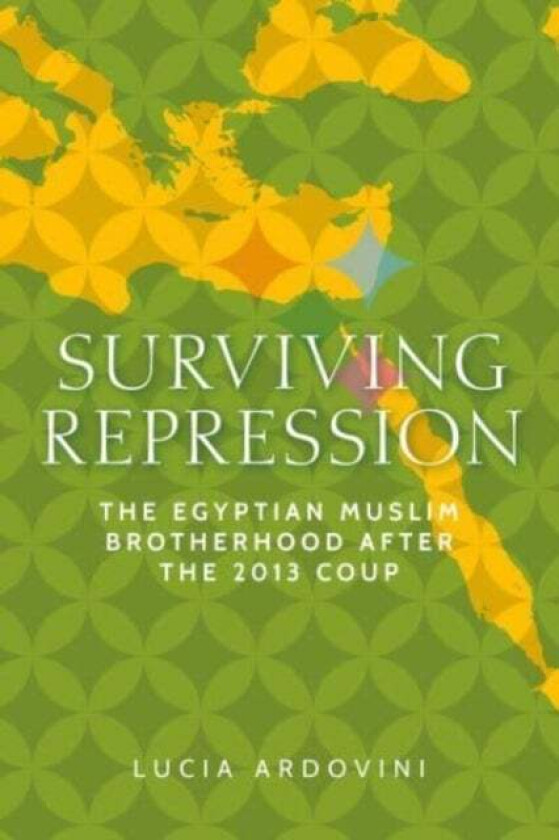 Surviving Repression av Lucia Ardovini