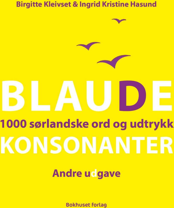 Blaude konsonanter av Ingrid Kristine Hasund, Birgitte Kleivset