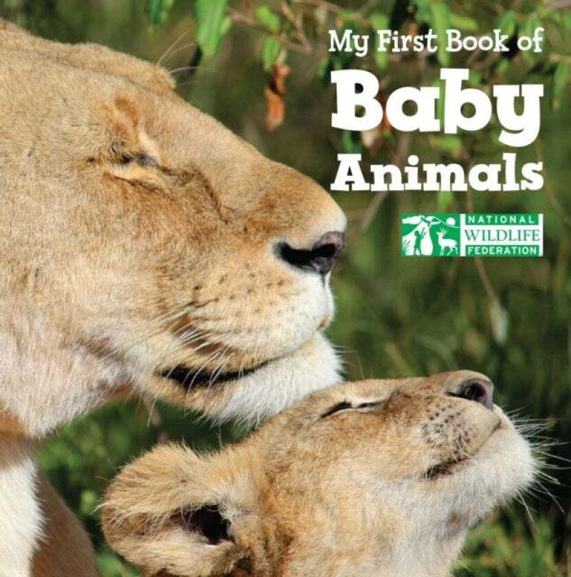 My First Book of Baby Animals (National Wildlife Federation) av National Wildlife Federation
