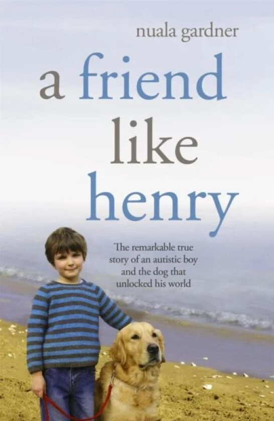 A Friend Like Henry av Nuala Gardner