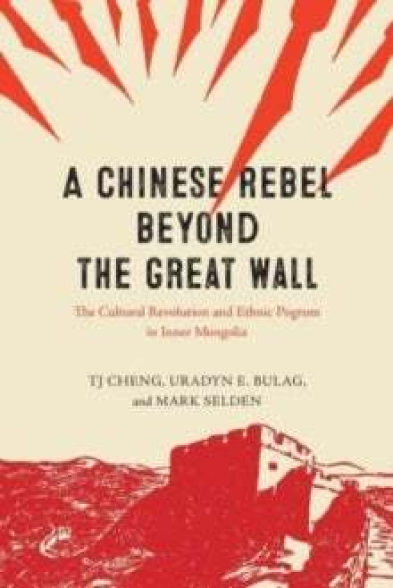 A Chinese Rebel beyond the Great Wall av TJ Cheng, Uradyn E. Bulag, Mark Selden