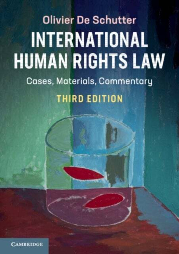 International human rights law av Olivier De Schutter