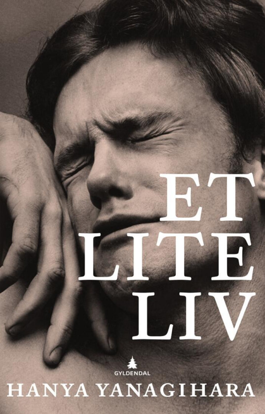 Et lite liv av Hanya Yanagihara