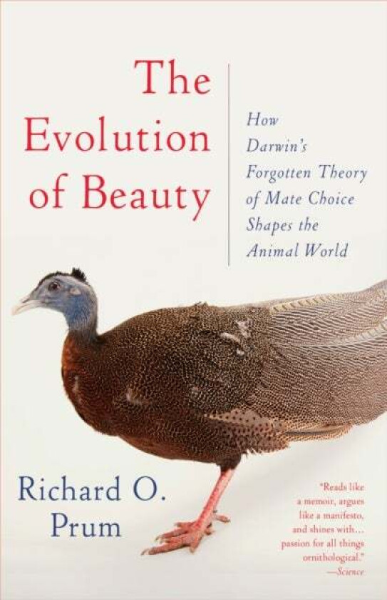 Evolution of Beauty av Richard O. Prum