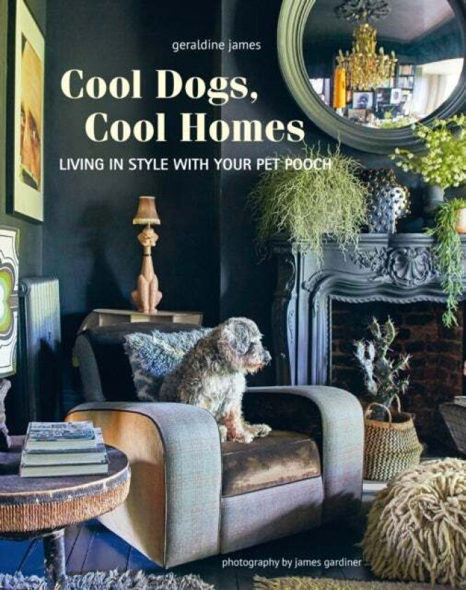 Cool Dogs, Cool Homes av Geraldine James