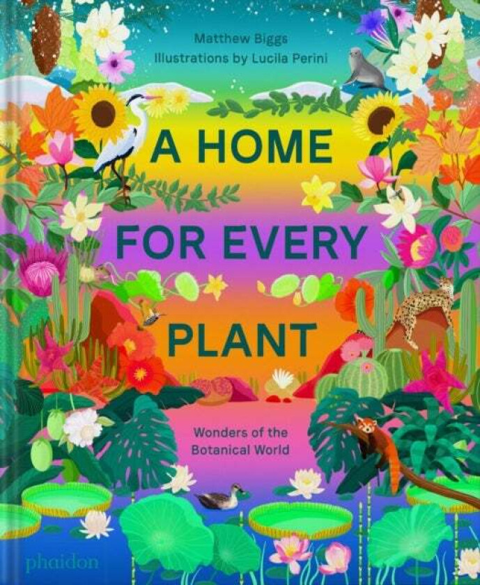 A Home for Every Plant av Matthew Biggs, Lucila Perini