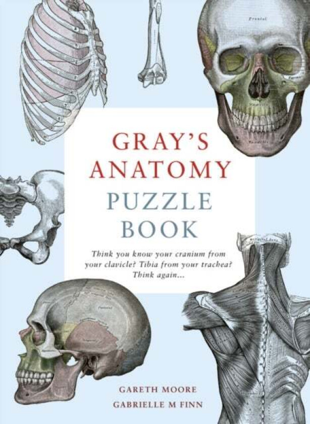 Gray's Anatomy Puzzle Book av Dr. Gareth Moore, Dr. Gabrielle M Finn