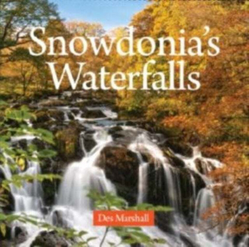 Compact Wales: Snowdonia's Waterfalls av Des Marshall