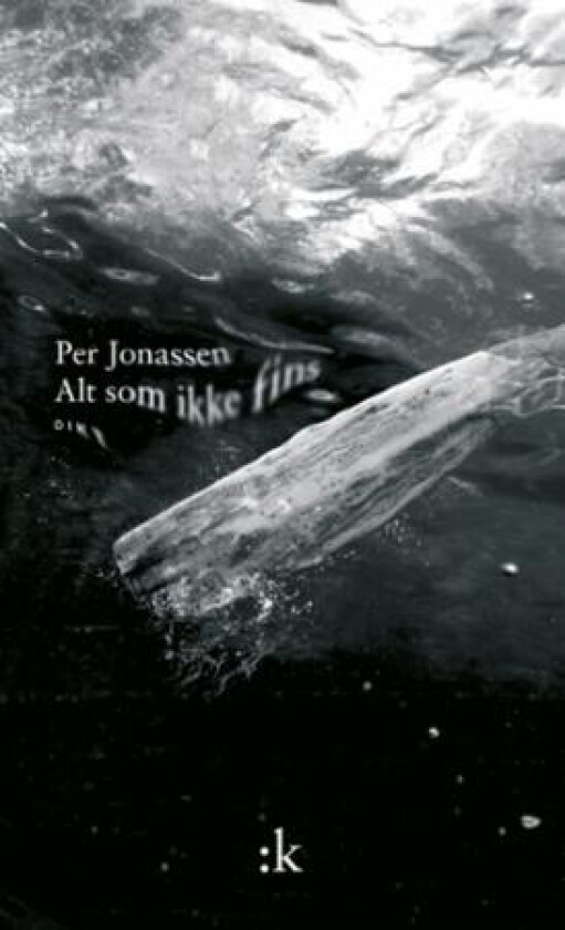 Alt som ikke fins av Per Jonassen