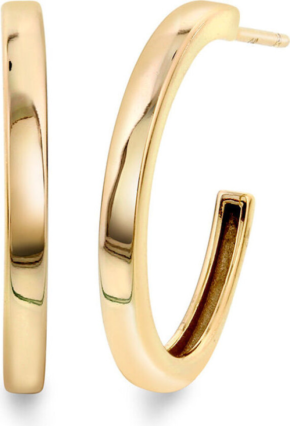 , Øreringer i forgylt sølv