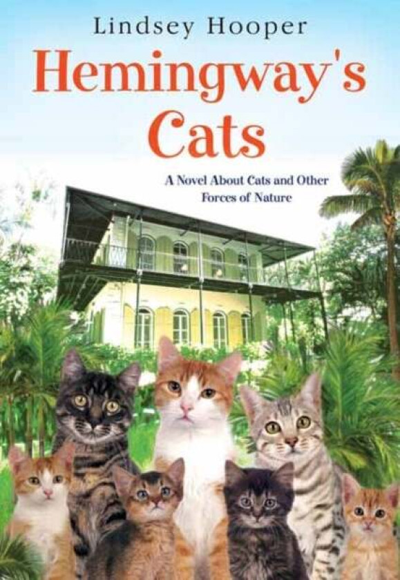 Hemingway's Cats av Lindsey Hooper