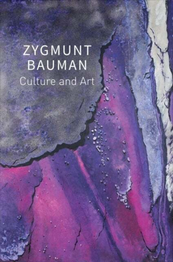 Culture and Art av Zygmunt (Universities of Leeds and Warsaw) Bauman