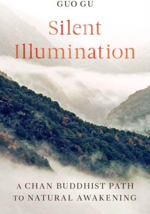 Silent Illumination av Guo Gu
