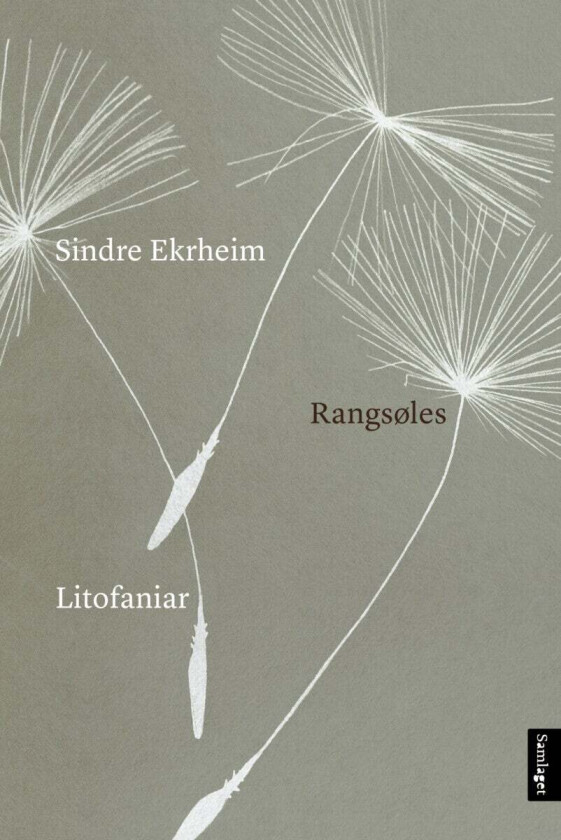 Rangsøles av Sindre Ekrheim