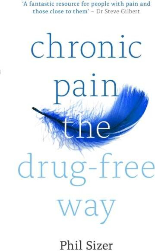 Chronic Pain The Drug-Free Way av Phil Sizer