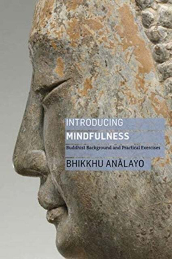 Introducing Mindfulness av Bhikkhu Analayo