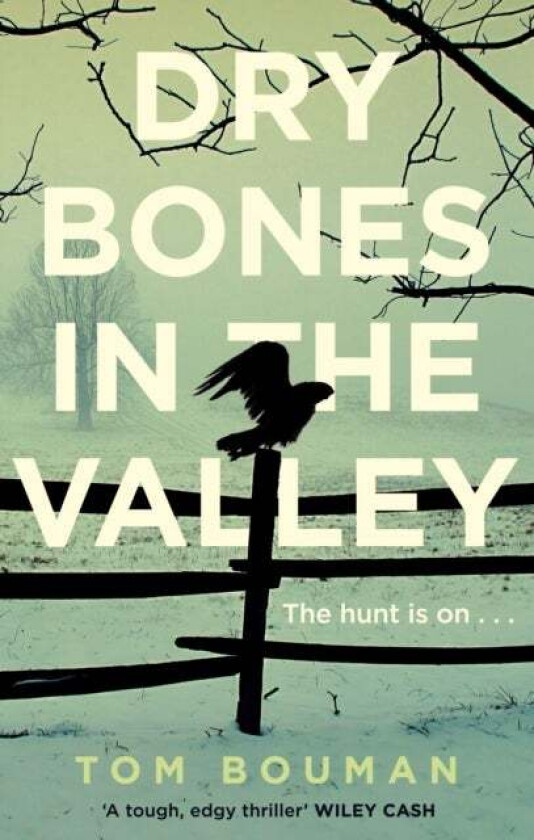 Dry Bones in the Valley av Tom Bouman