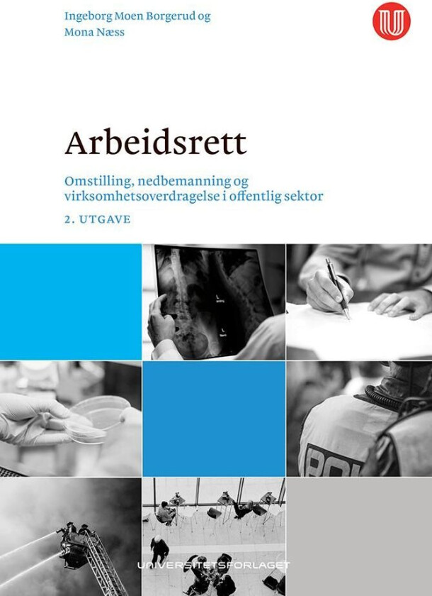 Arbeidsrett av Ingeborg Moen Borgerud, Mona Næss