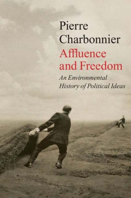 Affluence and Freedom av Pierre Charbonnier