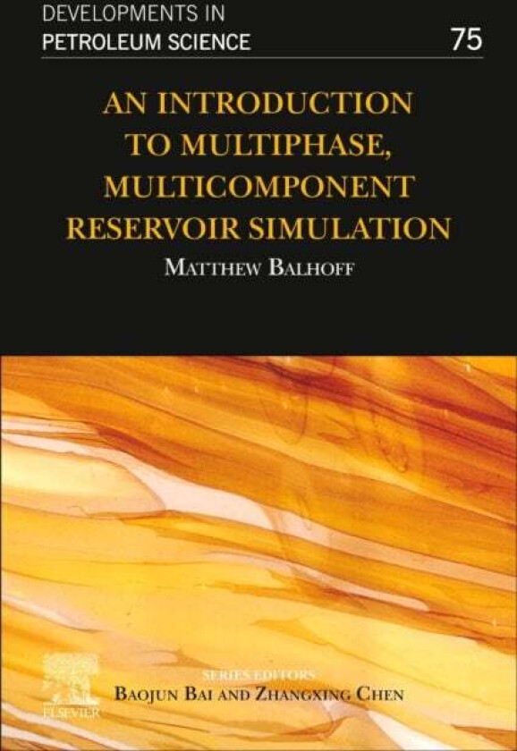 An Introduction to Multiphase, Multicomponent Reservoir Simulation av Matthew (Director Center for Subsurface Energy and the Environment Balhoff, Hild