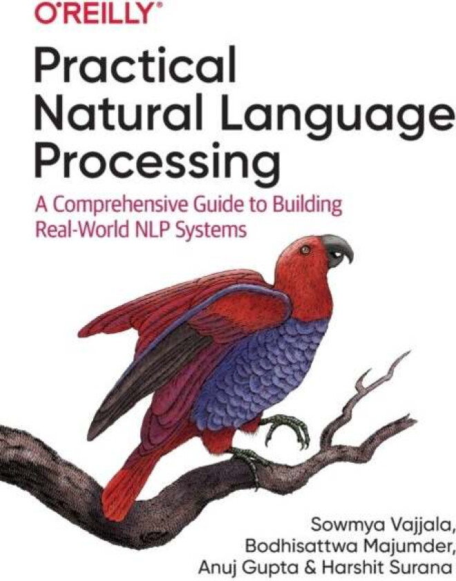 Practical Natural Language Processing av Sowmya Vajjala, Bodhisattwa Majumder, Anuj Gupta, Harshit Surana