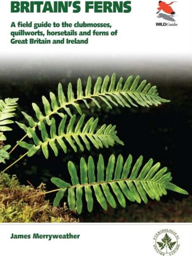 Britain's Ferns av James Merryweather