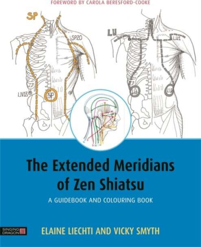 The Extended Meridians of Zen Shiatsu av Elaine Liechti, Vicky Smyth