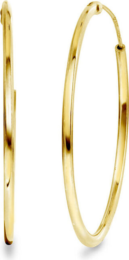 , Øreringer i forgylt 925 sølv