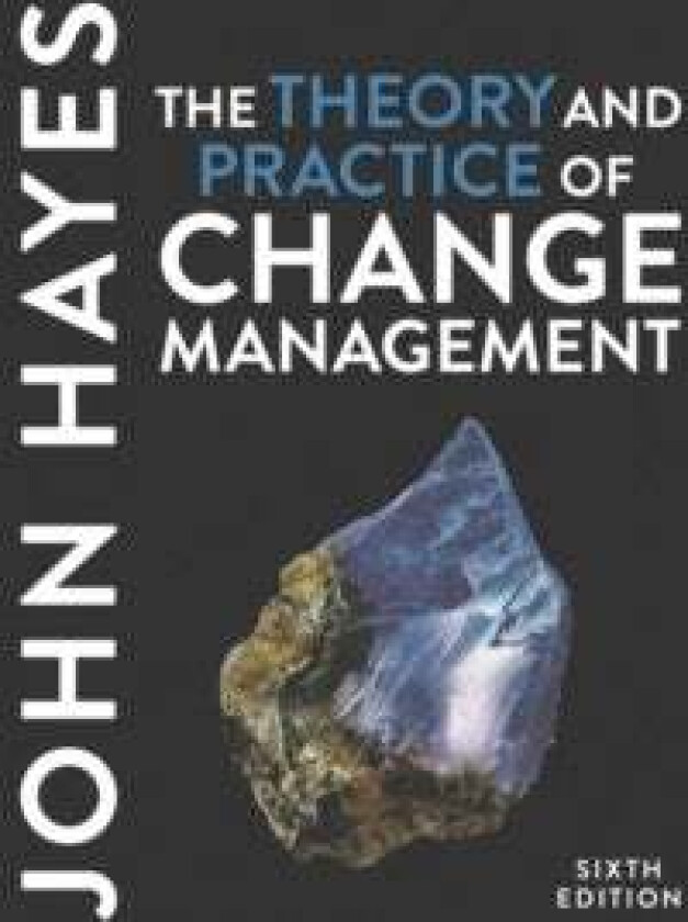 The Theory and Practice of Change Management av John (Leeds University UK) Hayes