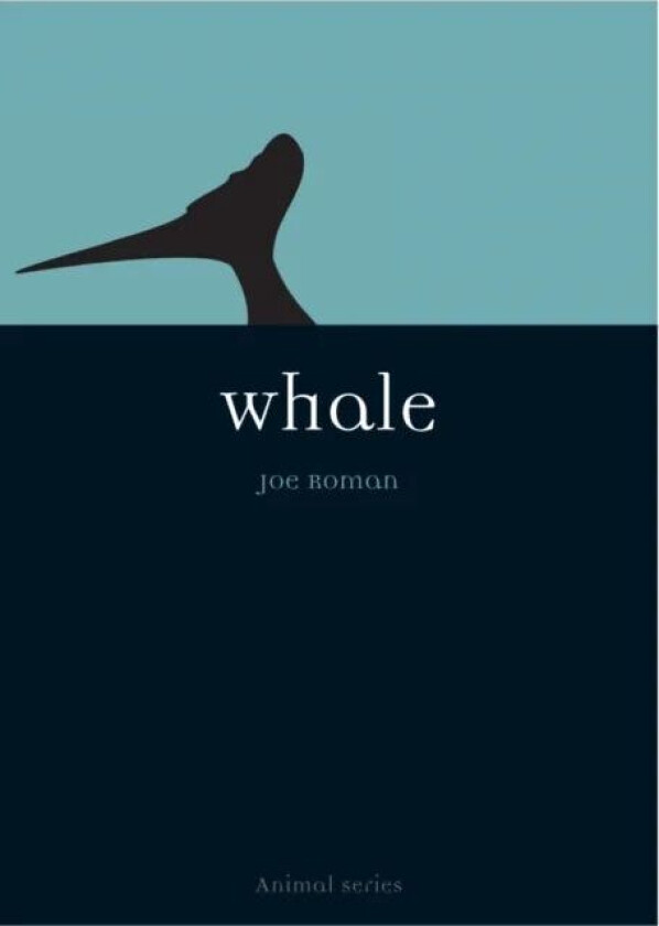 Whale av Joe Roman