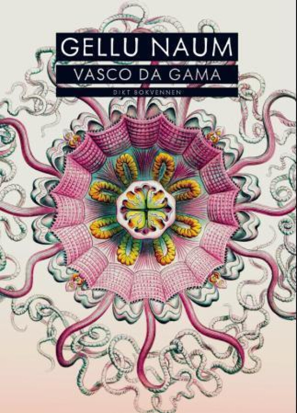 Vasco da Gama av Gellu Naum